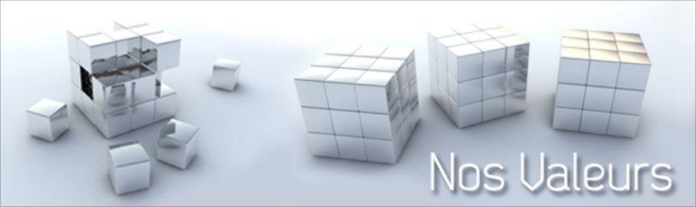 Logo valeurs